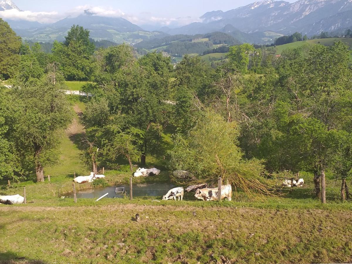 Landhotel Oberwengerhof ชปิทัล อัม เพิร์ม ภายนอก รูปภาพ